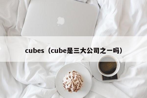 cubes（cube是三大公司之一吗）